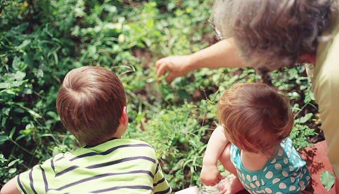 Eine ältere Frau schaut sich mit zwei Kindern Pflanzen an.