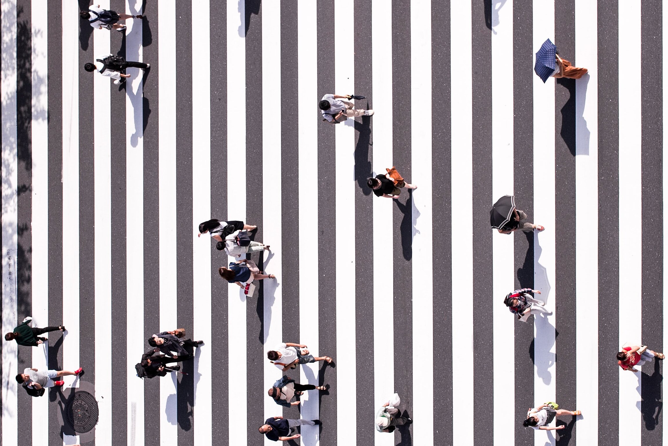 Menschen auf einem Zebrastreifen aus der Vogelperspektive fotografiert. 