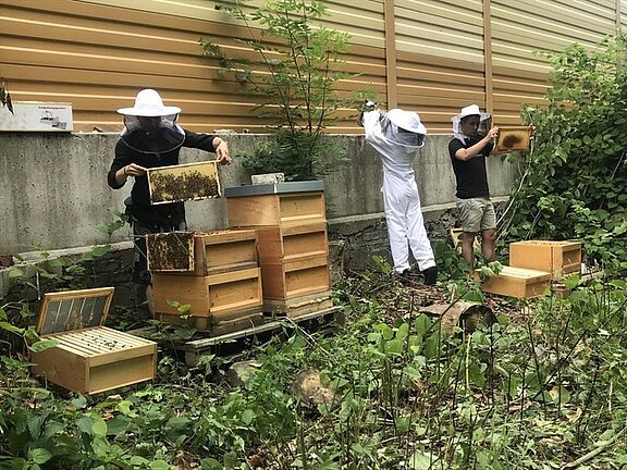 Drei Personen in Imkerkleidung arbeiten an Bienenstöcken